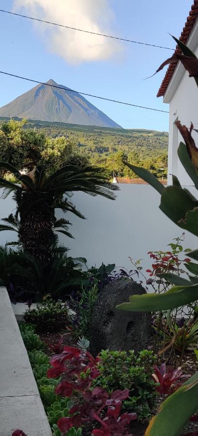 Casa Da Avo Biza Villa São Roque do Pico Eksteriør billede