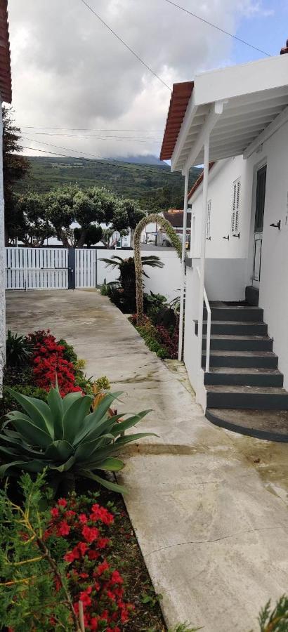 Casa Da Avo Biza Villa São Roque do Pico Eksteriør billede